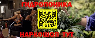 эйфоретик Будённовск